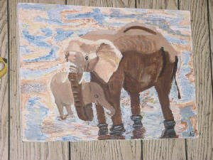 elephants.jpg