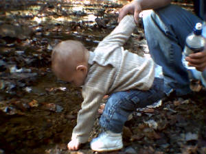oct28044.jpg