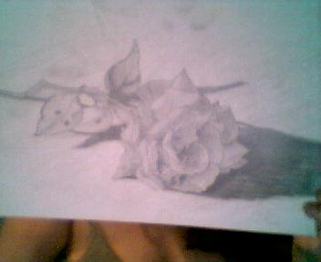 picture003.jpg